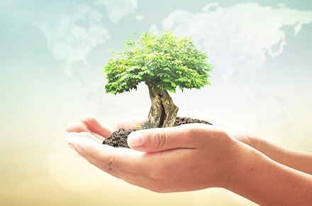 Nuestra Politica Ambiental